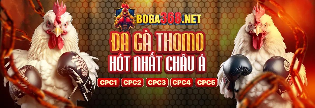 Đá gà trực tuyến tại AT99 trang chủ chính thức